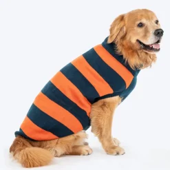 TLC Pumpkin Patch Sweater For Dog - Orange & Navy Blue