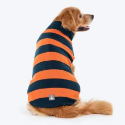 TLC Pumpkin Patch Sweater For Dog - Orange & Navy Blue