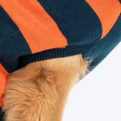 TLC Pumpkin Patch Sweater For Dog - Orange & Navy Blue