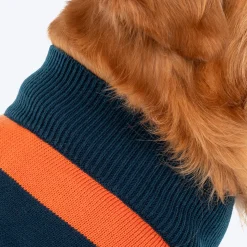 TLC Pumpkin Patch Sweater For Dog - Orange & Navy Blue