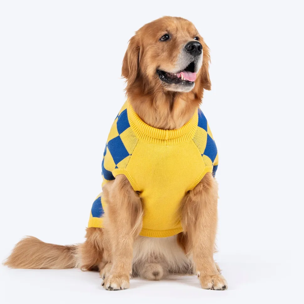 TLC Sunny Checks Sweater For Dog - Yellow & Blue