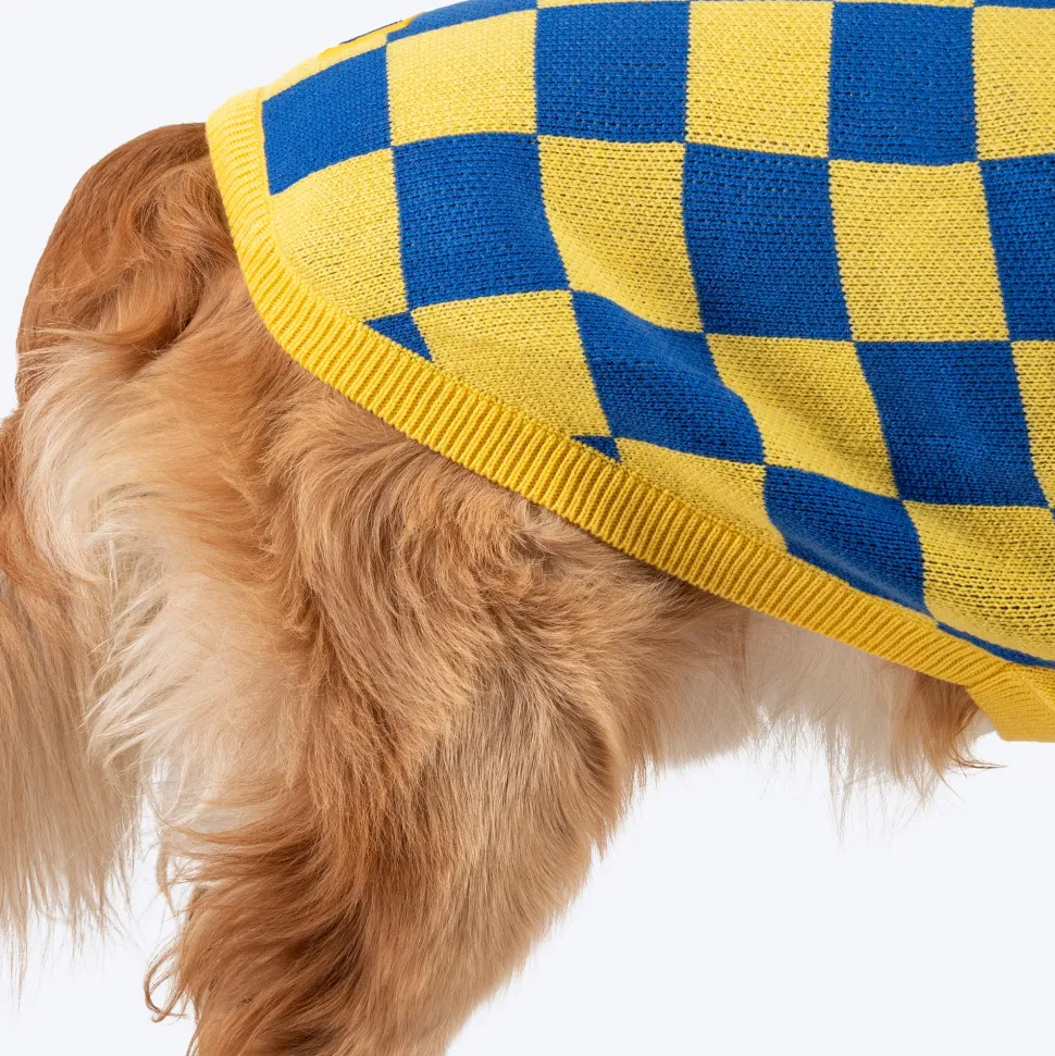 TLC Sunny Checks Sweater For Dog - Yellow & Blue