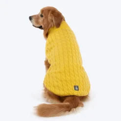 TLC Sunny Days Sweater For Dog - Yellow