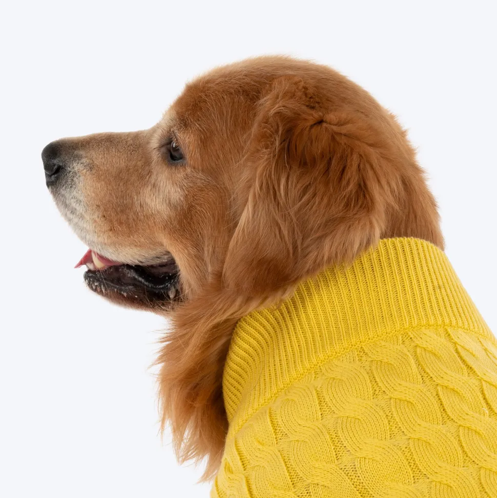 TLC Sunny Days Sweater For Dog - Yellow
