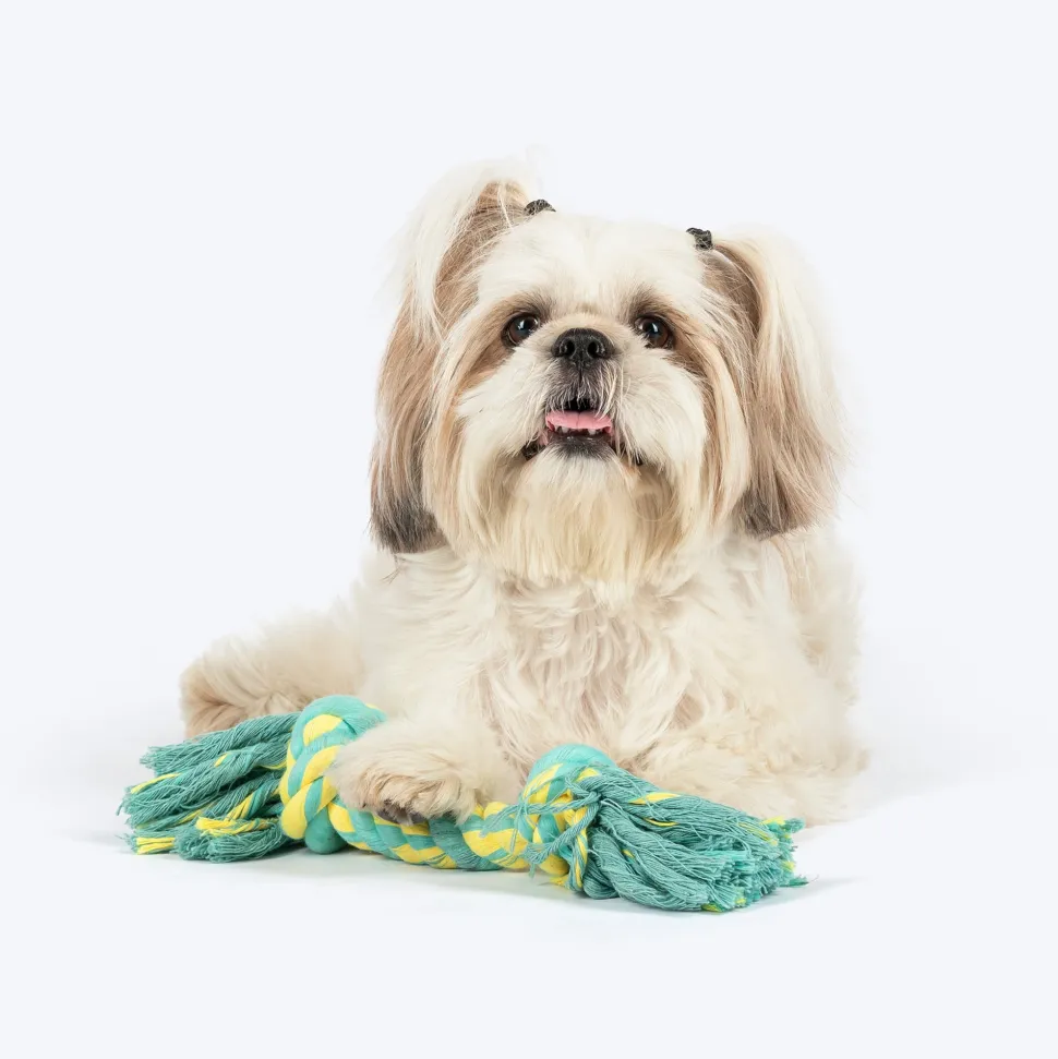 TLC Mighty Tug Rope Toy For Dog - Blue & Yellow