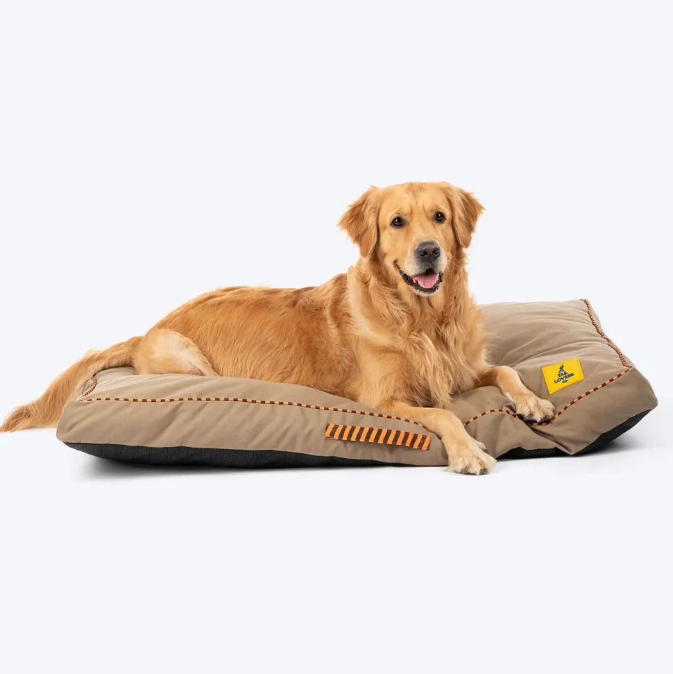 TLC Sandstone Flat Heaven Bed For Dog - Light Brown