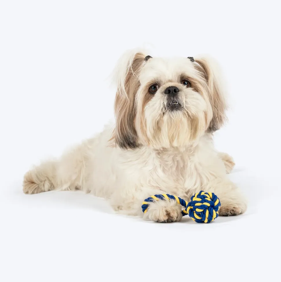 TLC Swinger Rope Toy For Puppies & Small Dog - Yellow & Blue