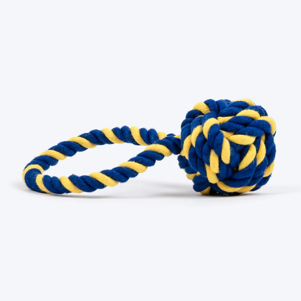 TLC Swinger Rope Toy For Puppies & Small Dog - Yellow & Blue