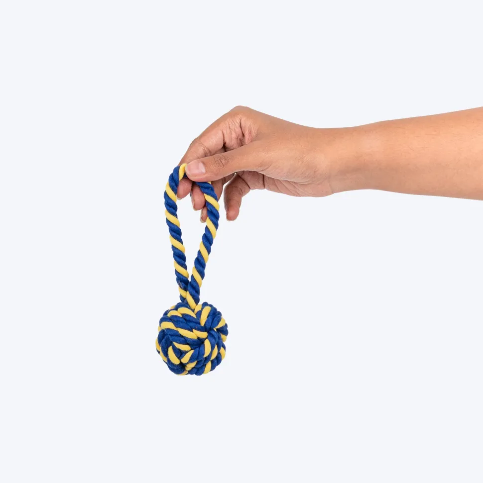 TLC Swinger Rope Toy For Puppies & Small Dog - Yellow & Blue