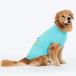 TLC The Family Favourite T-Shirt For Dog - Turquoise