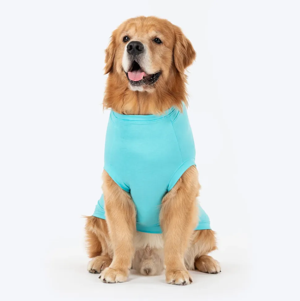 TLC The Family Favourite T-Shirt For Dog - Turquoise