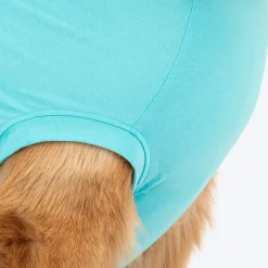 TLC The Family Favourite T-Shirt For Dog - Turquoise