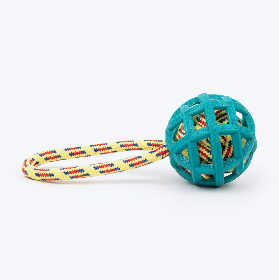 TLC Tug-A-Ball Toy For Dog - Green