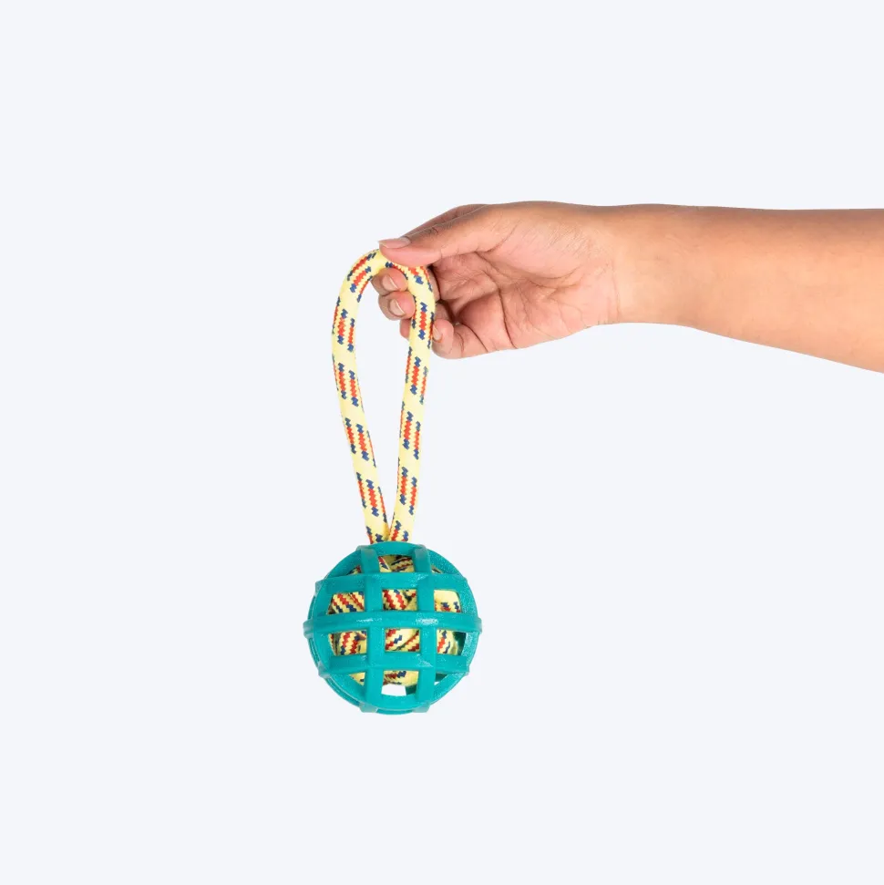 TLC Tug-A-Ball Toy For Dog - Green
