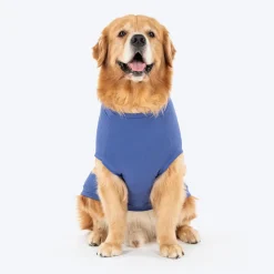 TLC Very Important Pet T-Shirt For Dog - Purple