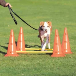Trixie Dog Agility Obstacles - Pylon and Poles