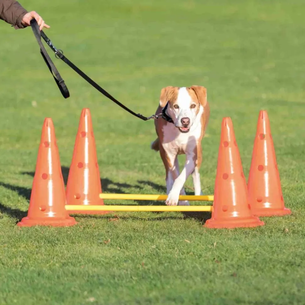 Trixie Dog Agility Obstacles - Pylon and Poles