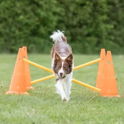 Trixie Dog Agility Obstacles - Pylon and Poles