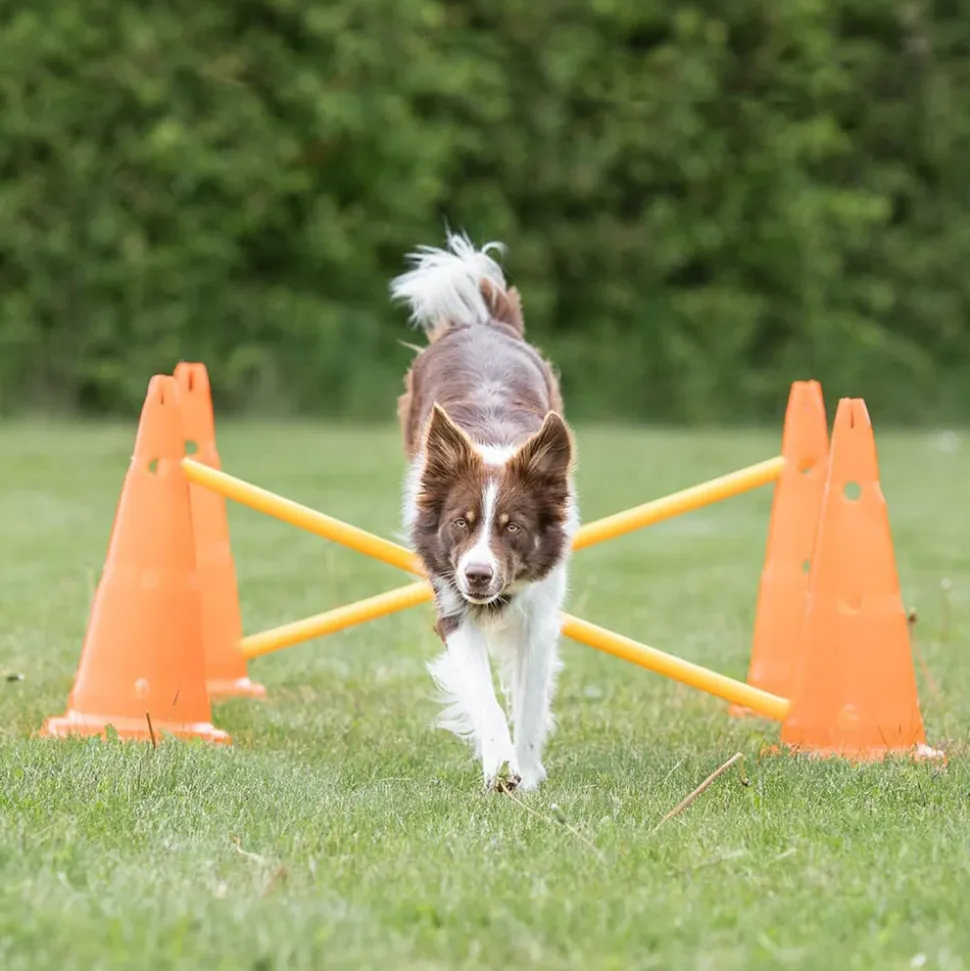 Trixie Dog Agility Obstacles - Pylon and Poles
