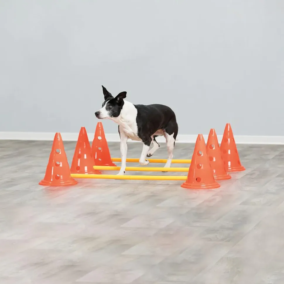 Trixie Dog Agility Obstacles - Pylon and Poles