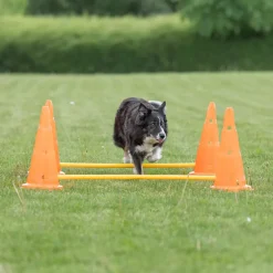 Trixie Dog Agility Obstacles - Pylon and Poles