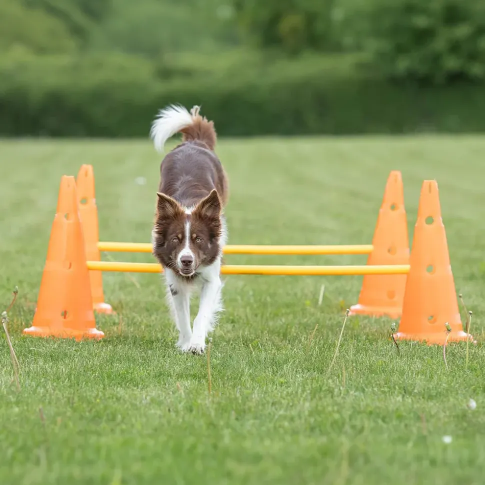 Trixie Dog Agility Obstacles - Pylon and Poles
