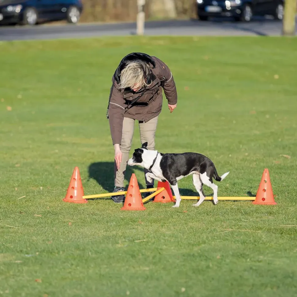 Trixie Dog Agility Obstacles - Pylon and Poles