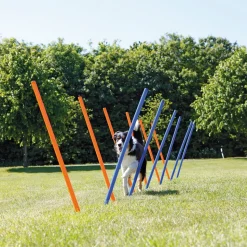 Trixie Dog Agility Slalom Weave Poles