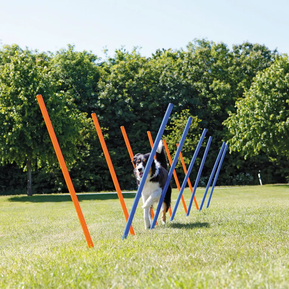 Trixie Dog Agility Slalom Weave Poles