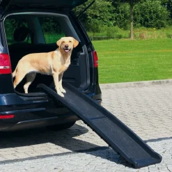 Trixie Petwalk Folding Ramp For Dogs & Cats - Black