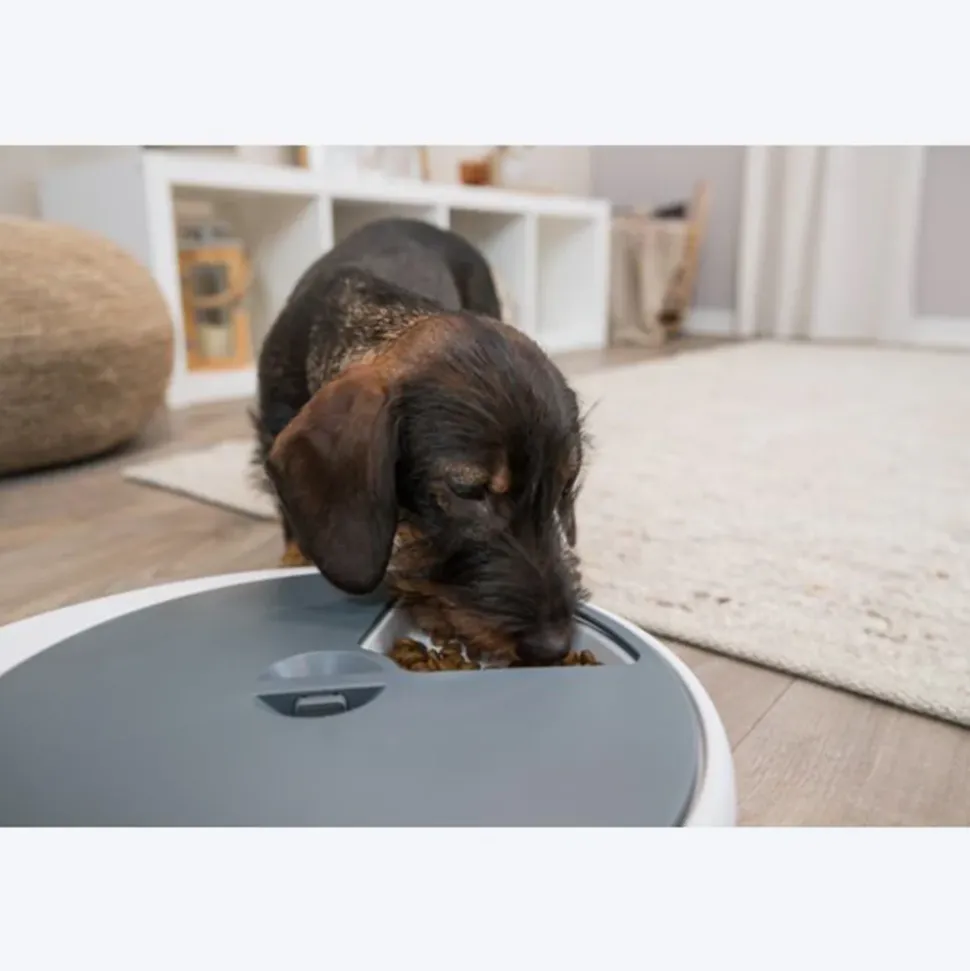 Trixie TX4+1 Automatic Food Dispenser For Dogs & Cats - White & Grey