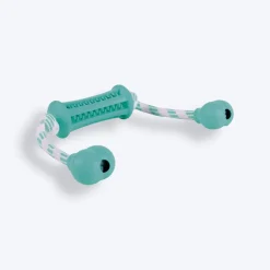 Trixie Denta Fun Stick With Rope Chew Toy For Dogs - Mint Green