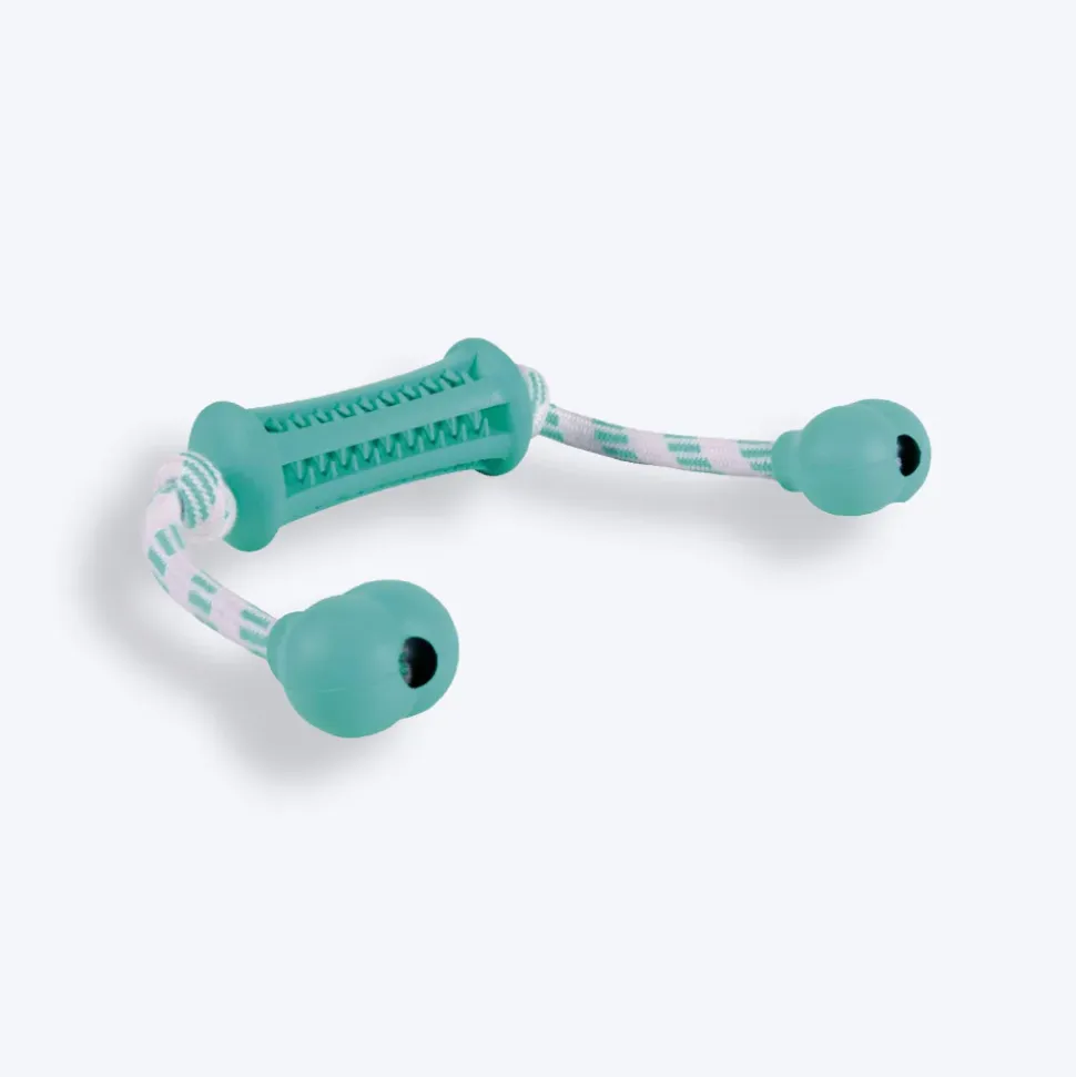 Trixie Denta Fun Stick With Rope Chew Toy For Dogs - Mint Green