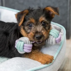 Trixie Junior Dumbbell Rope Toy For Dog - 22 cm