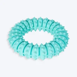 Trixie Natural Denta Fun Ring, Mint Flavour Dog Toy - 12 cm