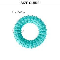 Trixie Natural Denta Fun Ring, Mint Flavour Dog Toy - 12 cm