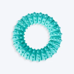 Trixie Natural Denta Fun Ring, Mint Flavour Dog Toy - 12 cm