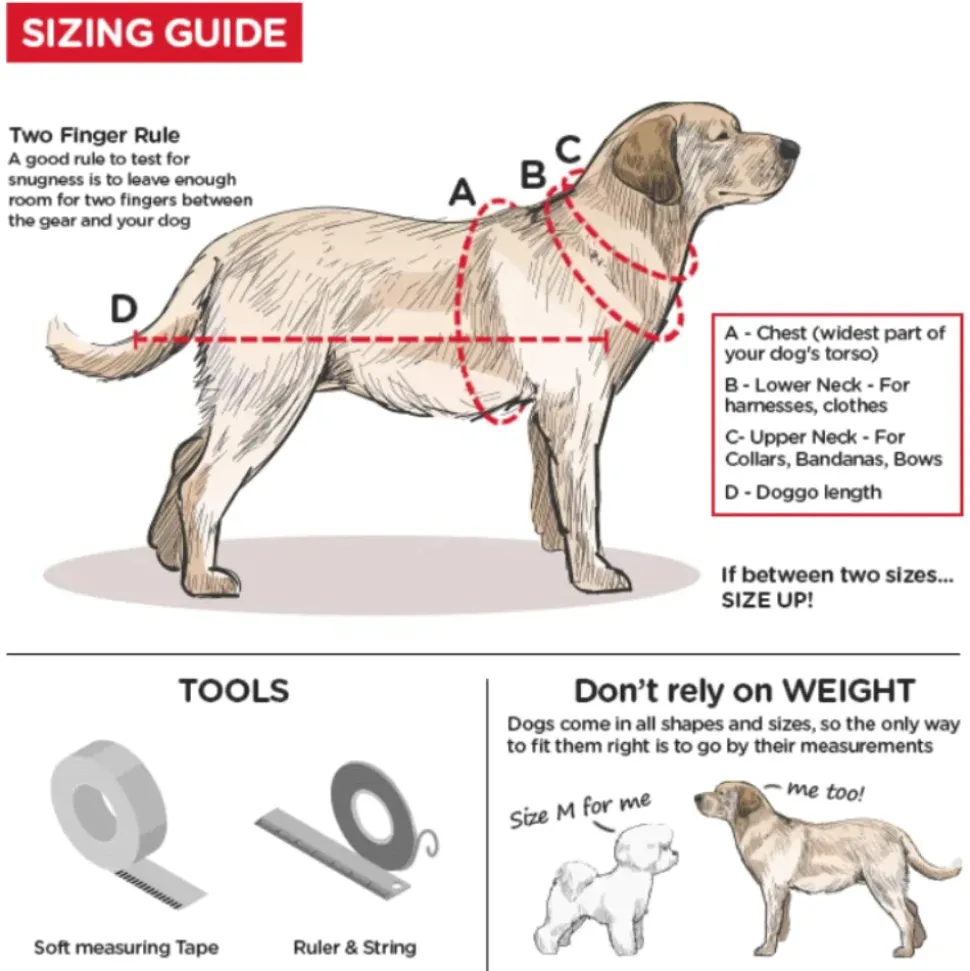Trixie Premium Nylon Dog Collar, M-L: 35-55cm/ 20mm