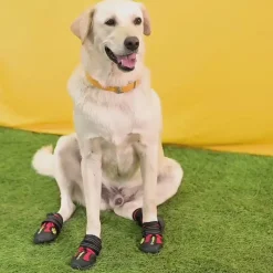 Truelove Anti-Slip Boots For Dog - Red (Set of 4)