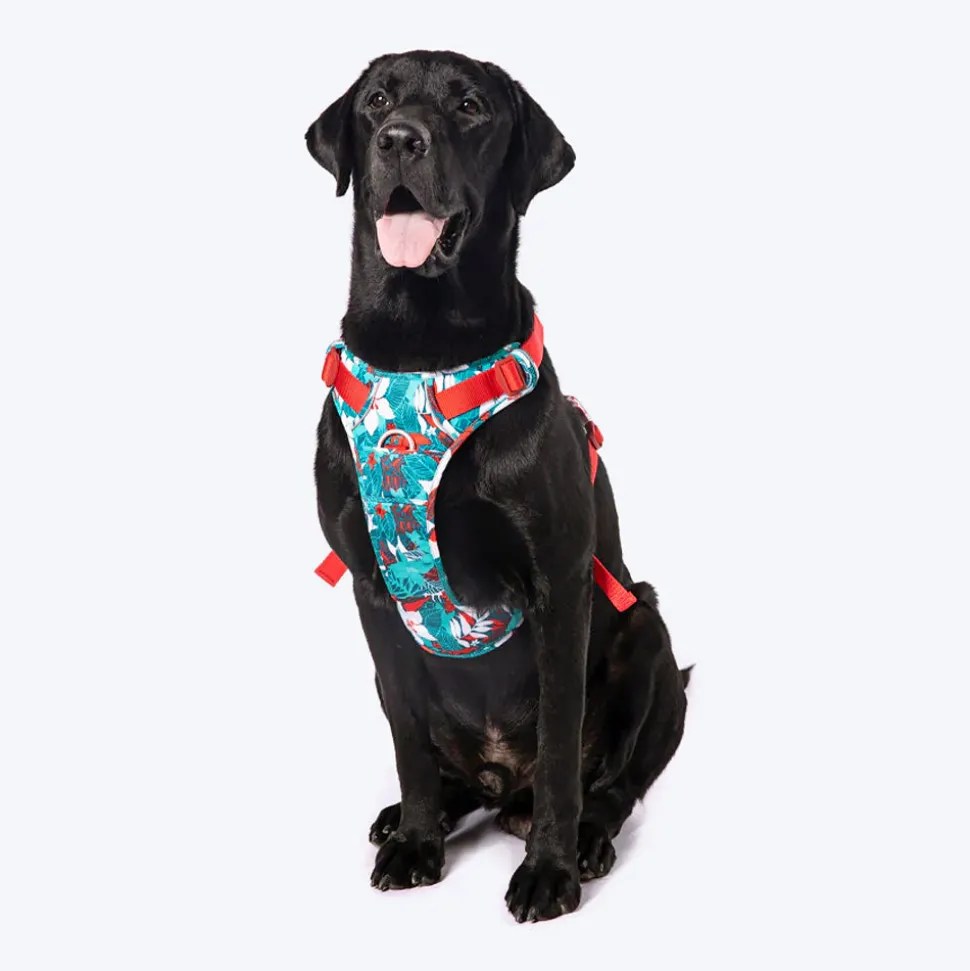 Truelove No-Pull Special Edition Harness For Dog - Camouflage Blue