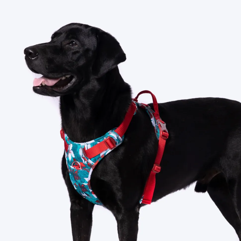 Truelove No-Pull Special Edition Harness For Dog - Camouflage Blue