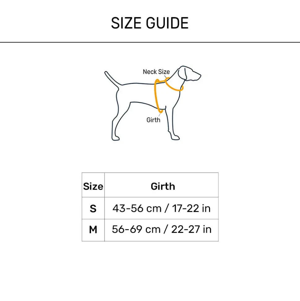 Truelove Step-In Harness For Dog With 3M Reflective Fabric - Blue