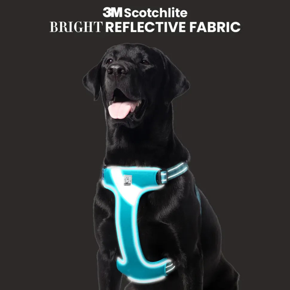Truelove Step-In Harness For Dog With 3M Reflective Fabric - Blue