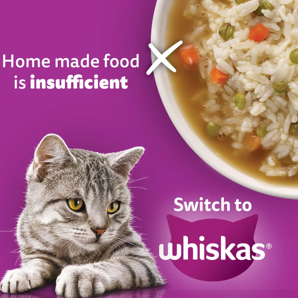 Whiskas Adult (1+ Years) Chicken Flavour Dry Food For Adult Cat