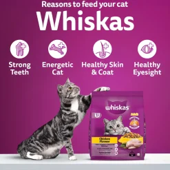 Whiskas Adult (1+ Years) Chicken Flavour Dry Food For Adult Cat