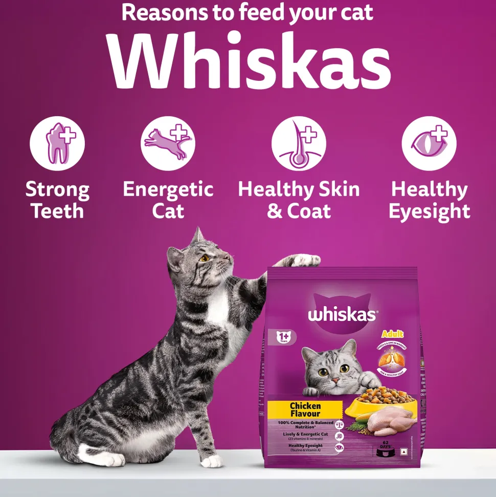 Whiskas Adult (1+ Years) Chicken Flavour Dry Food For Adult Cat