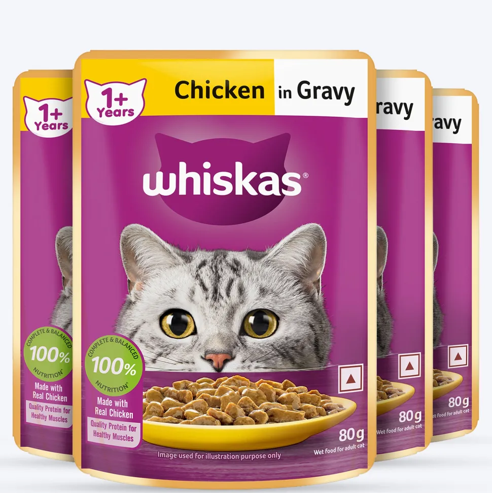 Whiskas Adult (1+ Years) Chicken in Gravy Wet Cat Food - 80 gm Pack