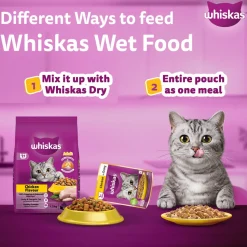 Whiskas Adult (1+ Years) Chicken in Gravy Wet Cat Food - 80 gm Pack