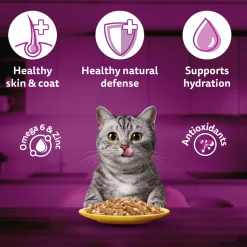 Whiskas Adult (1+ Years) Chicken in Gravy Wet Cat Food - 80 gm Pack