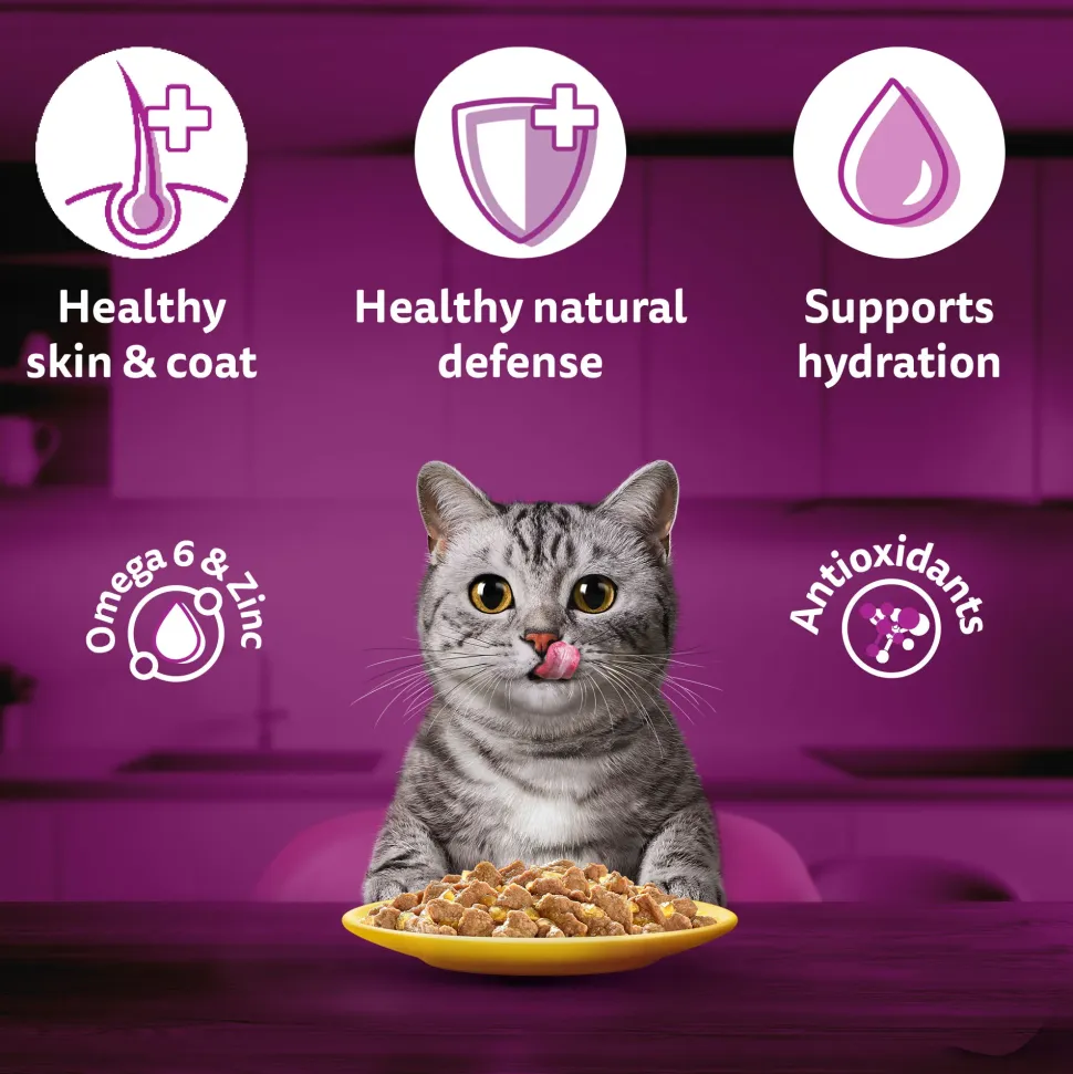 Whiskas Adult (1+ Years) Chicken in Gravy Wet Cat Food - 80 gm Pack